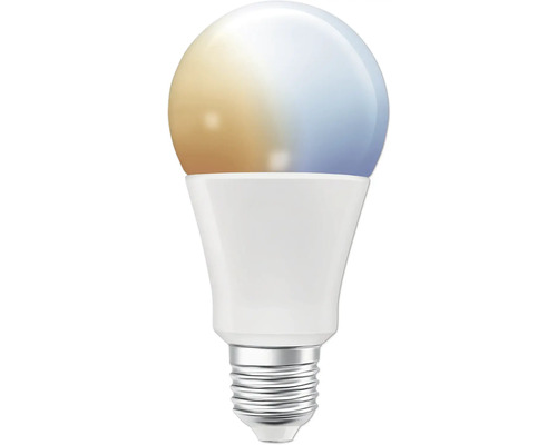 LED-Lampe mit Schraubsockel