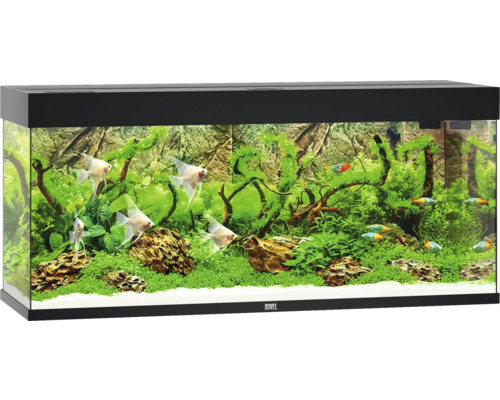 Aquarium JUWEL Rio 240 mit LED-Beleuchtung, Pumpe, Filter, Heizer ohne Unterschrank schwarz