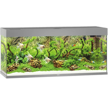 Aquarium Juwel Rio 240 mit LED-Beleuchtung, Pumpe, Filter, Heizer ohne Unterschrank grau