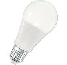 Weiße LED Lampe mit Schraubsockel