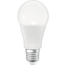 LED-Lampe mit E27-Sockel