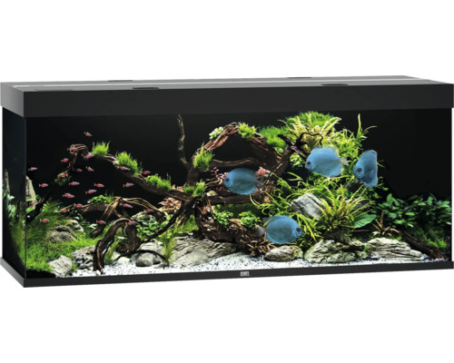 Aquarium JUWEL Rio 450 mit LED-Beleuchtung, Pumpe, Filter, Heizer ohne Unterschrank schwarz Aquarium JUWEL Rio 450 mit LED-Beleuchtung, Pumpe, Filter, Heizer ohne Unterschrank schwarz