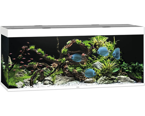 Aquarium JUWEL Rio 450 mit LED-Beleuchtung, Pumpe, Filter, Heizer ohne Unterschrank weiß