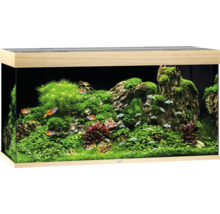 Aquarium JUWEL Rio 350 mit LED-Beleuchtung, Pumpe, Filter, Heizer ohne Unterschrank helles Holz