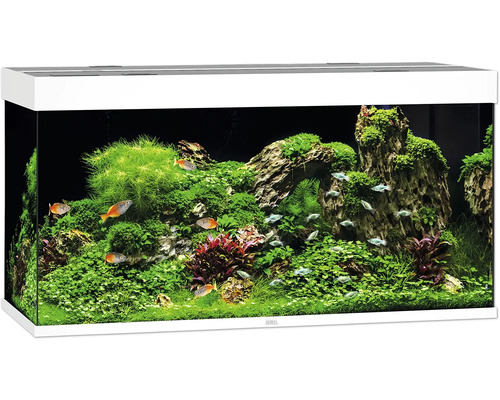 Aquarium JUWEL Rio 350 mit LED-Beleuchtung, Pumpe, Filter, Heizer ohne Unterschrank weiß Aquarium JUWEL Rio 350 mit LED-Beleuchtung, Pumpe, Filter, Heizer ohne Unterschrank weiß