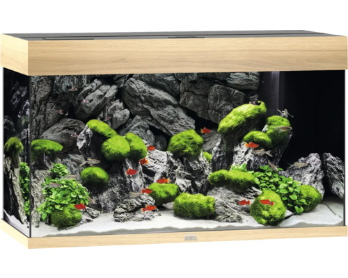 Aquarium JUWEL Rio 180 mit LED-Beleuchtung, Pumpe, Filter, Heizer ohne Unterschrank helles Holz Aquarium JUWEL Rio 180 mit LED-Beleuchtung, Pumpe, Filter, Heizer ohne Unterschrank helles Holz