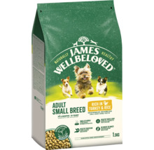 Hundefutter trocken JAMES WELLBELOVED™ Superfoods Adult Turkey 1,5 kg mit Truhthahn, Grünkohl und Quinoa, hypoallergen