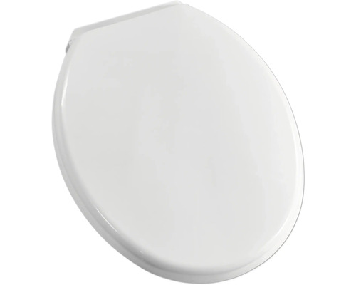 Toilettendeckel aus Kunststoff