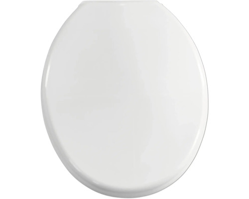 Toilettendeckel aus Kunststoff, ovale Form