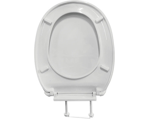 Toilettendeckel aus Kunststoff