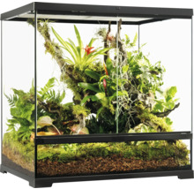 Terrarium mit Pflanzen und natürlicher Dekoration für Reptilien und Amphibien