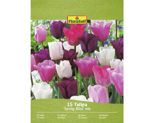 FloraSelf Tulpen Spring Bliss Mix, Packung mit 15 Stück