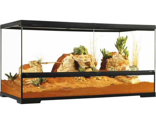 Eingerichtetes Terrarium mit Wüstenlandschaft