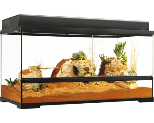 Eingerichtetes Terrarium mit Steinen und Pflanzen