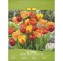 FloraSelf 15 Tulipa Triumph ''Monets Garten'' Mischung auf der Verpackung