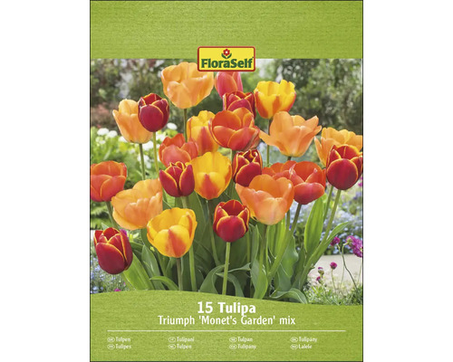 FloraSelf 15 Tulipa Triumph ''Monets Garten'' Mischung auf der Verpackung