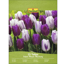 Packung Tulpen Mosaic Mischung mit 15 Tulpen