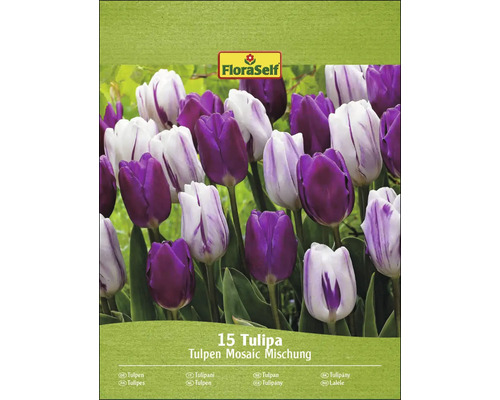 Packung Tulpen Mosaic Mischung mit 15 Tulpen