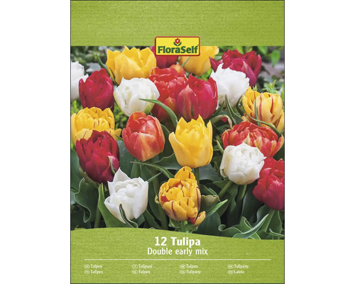 FloraSelf Tulpen Double Early Mix, Packung mit zwölf Blumenzwiebeln