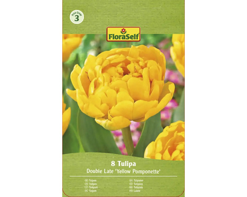 Verpackung Tulpen Blumenzwiebeln Sorte Double Late Yellow Pomponette der Marke FloraSelf