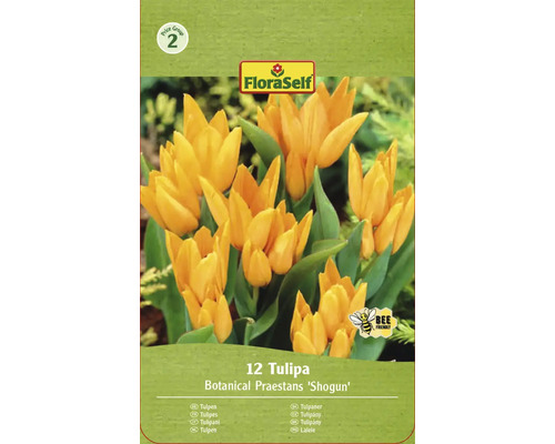 Packung Tulpen Botanical Praestans Sorte ''Shogun'' mit Hinweis auf Bienenfreundlichkeit