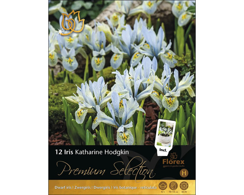 Blumenzwiebel Premium Selection Iris reticulata Katherine Hodgkin 12 Stk. 12 Iris Katharine Hodgkin Zwiebeln