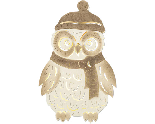 LED Fensterlicht Saico Winter-Eule Lichtfarbe warmweiß Dekorative Eule mit Mütze und Schal als Weihnachtsdekoration