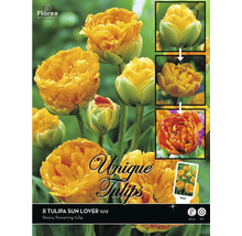 Verpackung mit Tulpen Sun Lover Blumenzwiebeln
