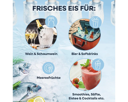 Frisches Eis für Wein, Sekt, Bier, Softdrinks, Meeresfrüchte, Smoothies, Säfte, Eistee und Cocktails