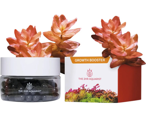 The 2HR Aquarist Growth Booster mit Wasserpflanzen