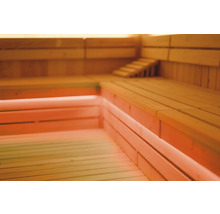 Holzsauna mit Bänken und Treppe