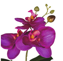 Künstliche Orchidee mit Blüten und Knospen