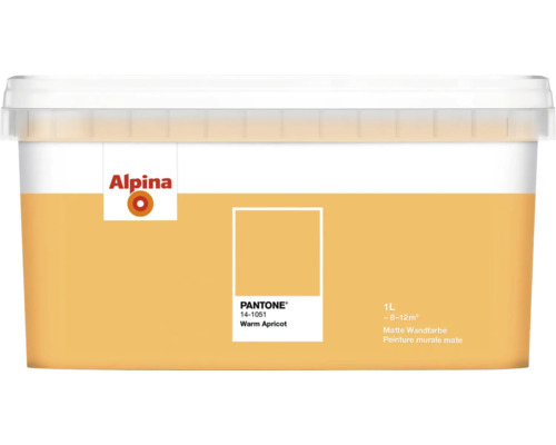 Eimer matte Wandfarbe in Aprikoseton von Alpina, 1 Liter
