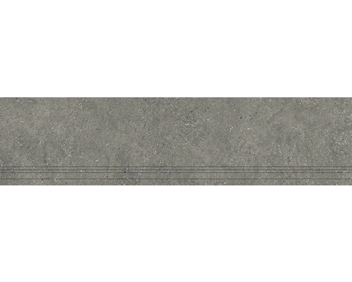 Feinsteinzeug Treppenstufe Alpen 29,8 cm x 120 cm x 0,9 cm grau matt rektifiziert