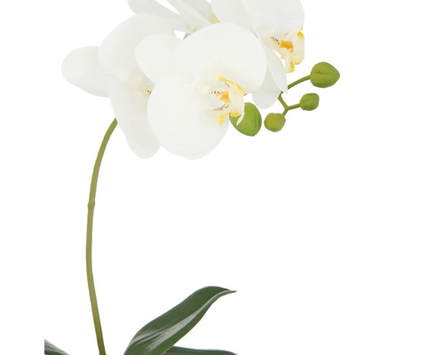 Künstliche weiße Orchidee mit Blättern und Blütenknospen