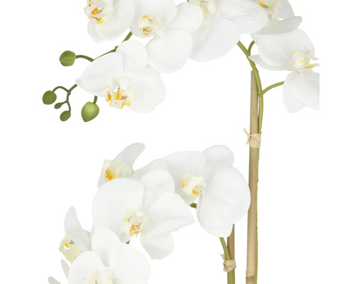 Künstliche Orchidee mit weißen Blüten