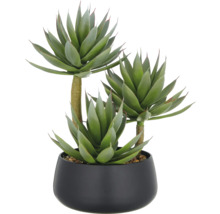Künstliche Agave in schwarzem Topf als Zimmerdekoration