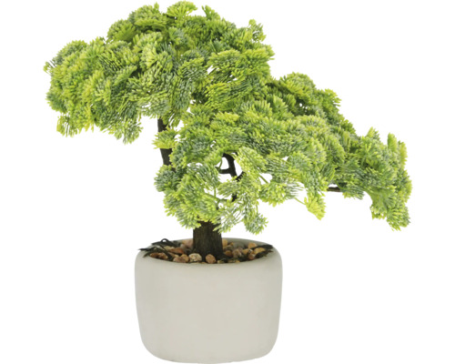 Kunstpflanze Bonsai Sedum multiceps H 24 cm Künstlicher Bonsai-Baum im Topf zur Dekoration