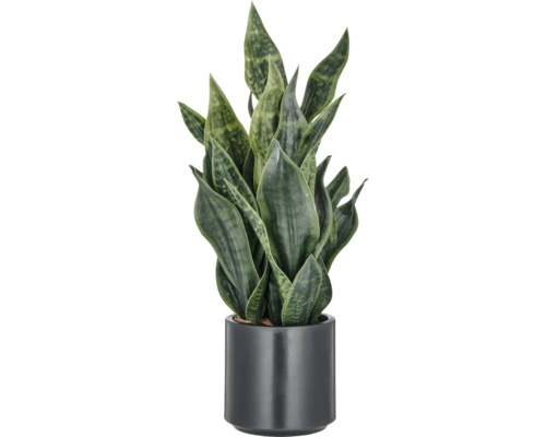 Kunstpflanze Bogenhanf H 66 cm Sansevieria Pflanze im Topf