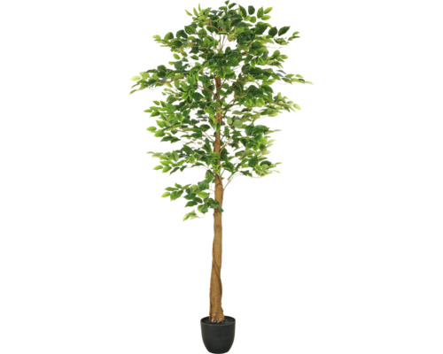 Künstlicher Ficus im Topf als Dekoration
