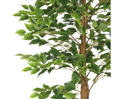 Detailaufnahme eines künstlichen Birkenfeigenbaums mit grünen Blättern.