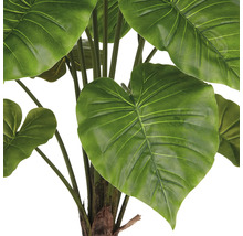 Detailaufnahme einer künstlichen Alocasia Zimmerpflanze mit großen grünen Blättern.