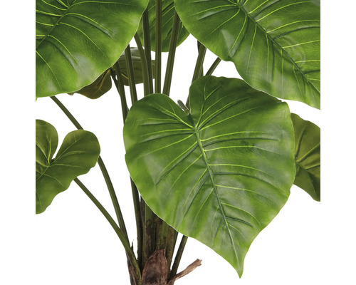 Detailaufnahme einer künstlichen Alocasia Zimmerpflanze mit großen grünen Blättern.