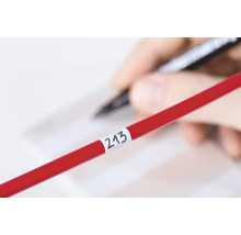 Rote Messlatte mit Etikett und Nummer 213 im Fokus