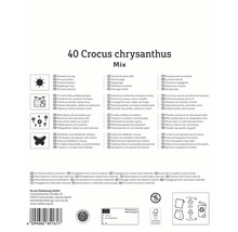 Informationen zu Krokus chrysanthus Mix, einschließlich Standort, Verwendung, Eigenschaften und Herkunft