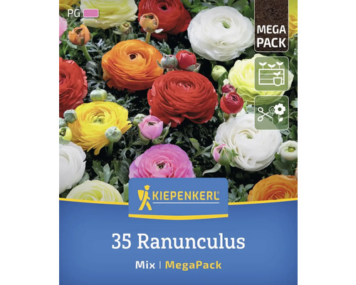 Kiepenkerl Logo, 35 Ranunkeln, Mischung, Megapackung