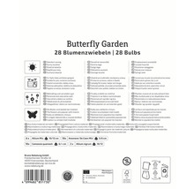 Verpackung von Blumenzwiebeln für einen Schmetterlingsgarten mit Informationen zu Standort, Pflege und Insektenfreundlichkeit