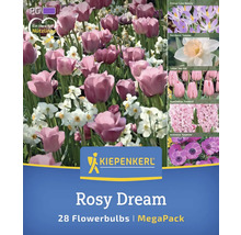 Rosy Dream Blumenzwiebeln Megapackung mit Krokussen, Narzissen, Tulpen, Hyazinthen und Anemonen