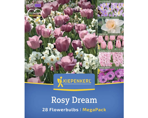 Rosy Dream Blumenzwiebeln Megapackung mit Krokussen, Narzissen, Tulpen, Hyazinthen und Anemonen