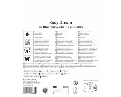 Rosy Dream Blumenzwiebeln Packung mit Informationen zu Pflanzort, Eignung und Eigenschaften